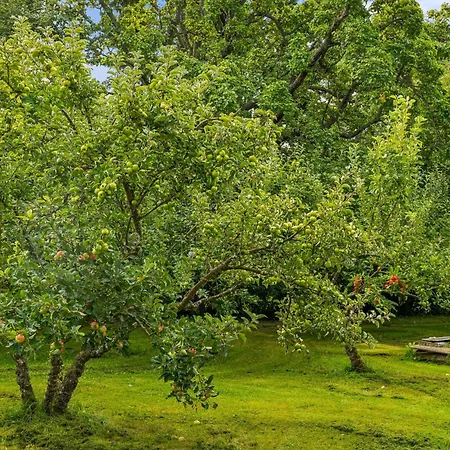Rondegaard - Main House Semesterbostad