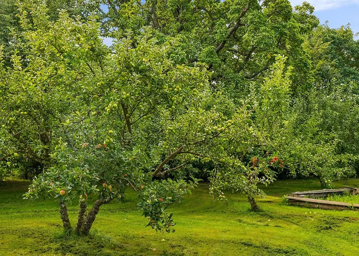 Rondegaard - Main House Semesterbostad